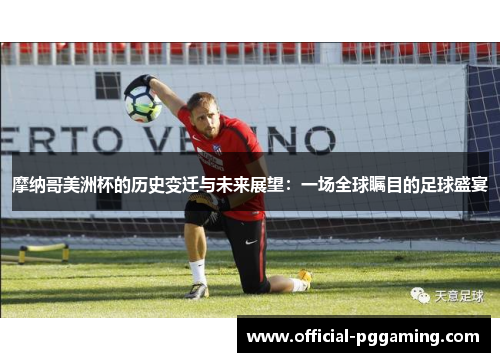 摩纳哥美洲杯的历史变迁与未来展望:一场全球瞩目的足球盛宴 摩纳哥美洲杯的历史变迁与未来展望:一场全球瞩目的足球盛宴