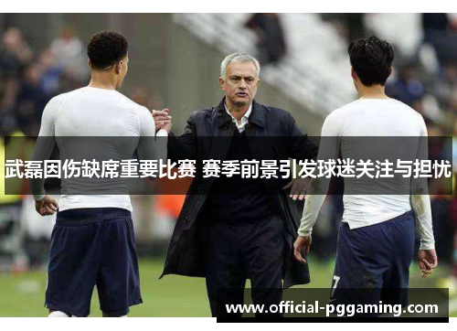 武磊因伤缺席重要比赛 赛季前景引发球迷关注与担忧