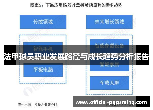 法甲球员职业发展路径与成长趋势分析报告 法甲球员职业发展路径与成长趋势分析报告