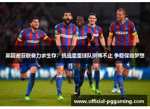 英超谢菲联奋力求生存:挑战重重球队拼搏不止 争取保级梦想 英超谢菲联奋力求生存:挑战重重球队拼搏不止 争取保级梦想