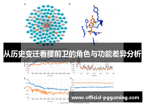 从历史变迁看腰前卫的角色与功能差异分析 从历史变迁看腰前卫的角色与功能差异分析